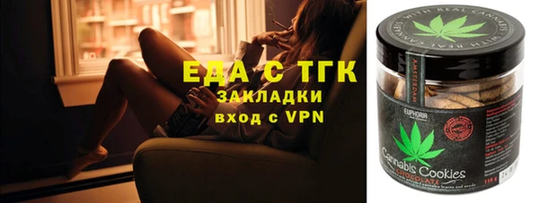 стафф Гусев