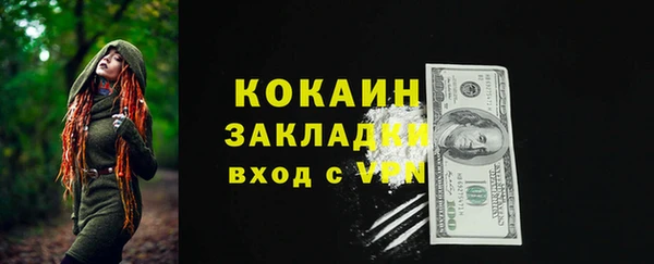 стафф Гусев