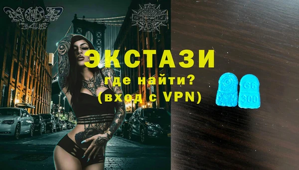 стафф Гусев