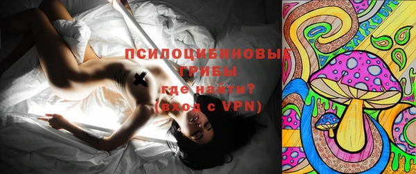 стафф Гусев
