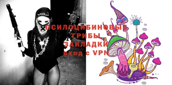 стафф Гусев
