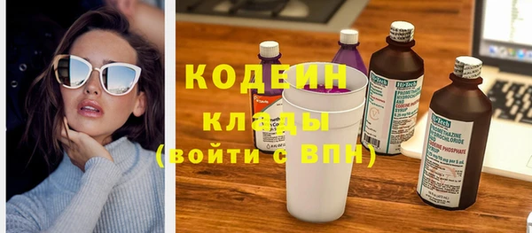 стафф Гусев