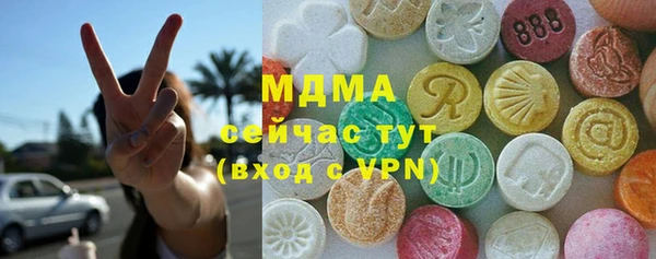 стафф Гусев