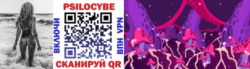 Псилоцибиновые грибы мицелий  Ковров 