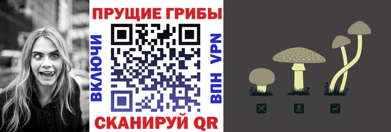 Галлюциногенные грибы ЛСД Ковров